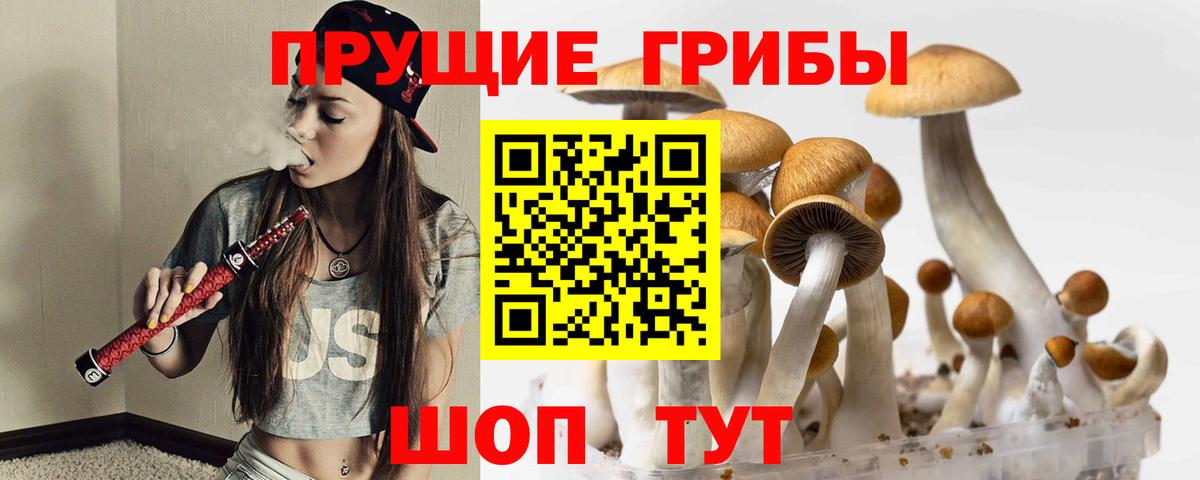 Псилоцибиновые грибы мухоморы  Галлюциногенные грибы Psilocybe  Усть-Кут  Вход с VPN 